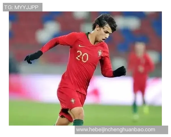 金士顿城与诺斯的激烈对决谁能在赛场上笑到最后